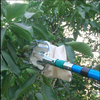 Fruit Picking Tool