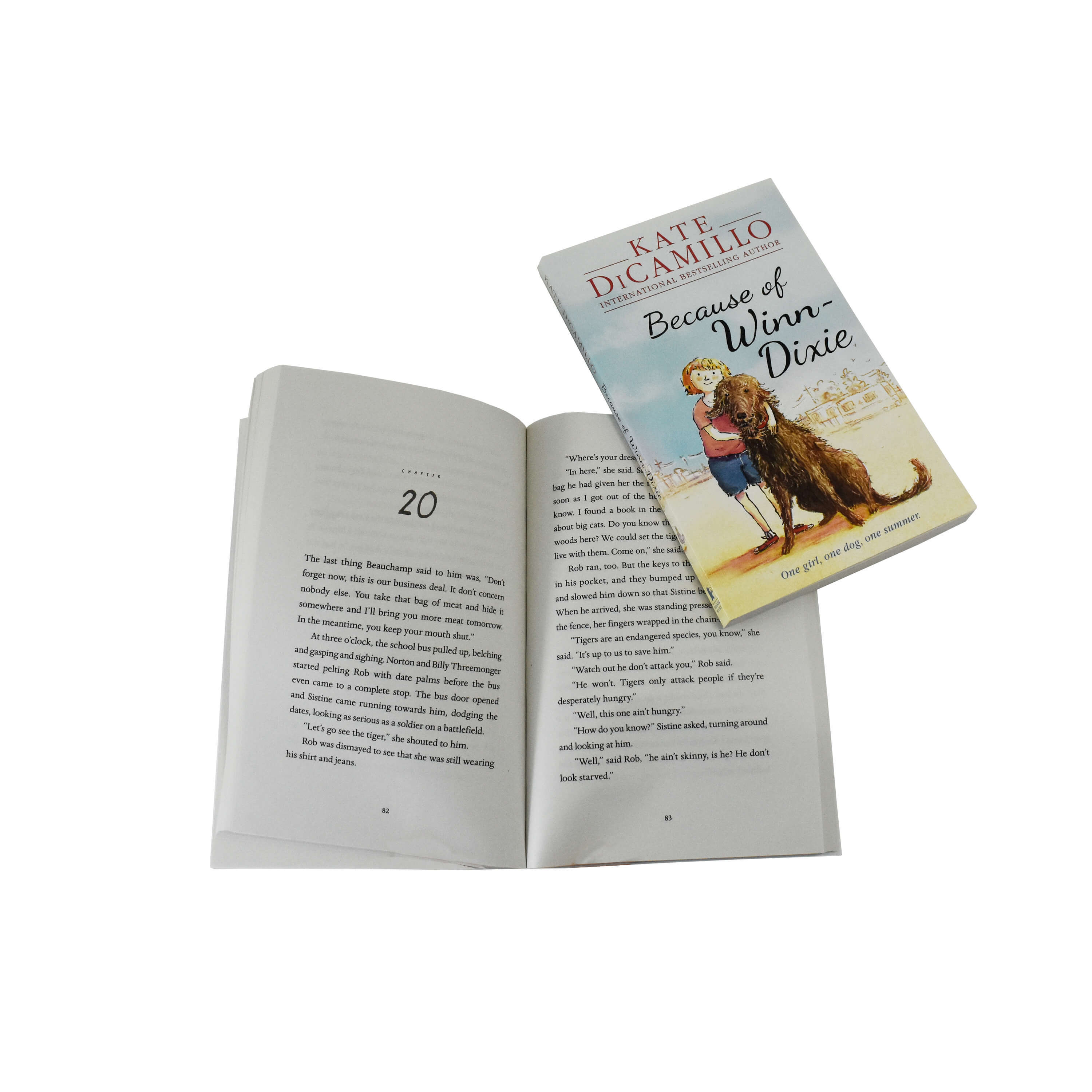 The Magician's Elephant: Kate DiCamillo Classic Collection 6 Books Box Set - Ages 7-11 - Paperback