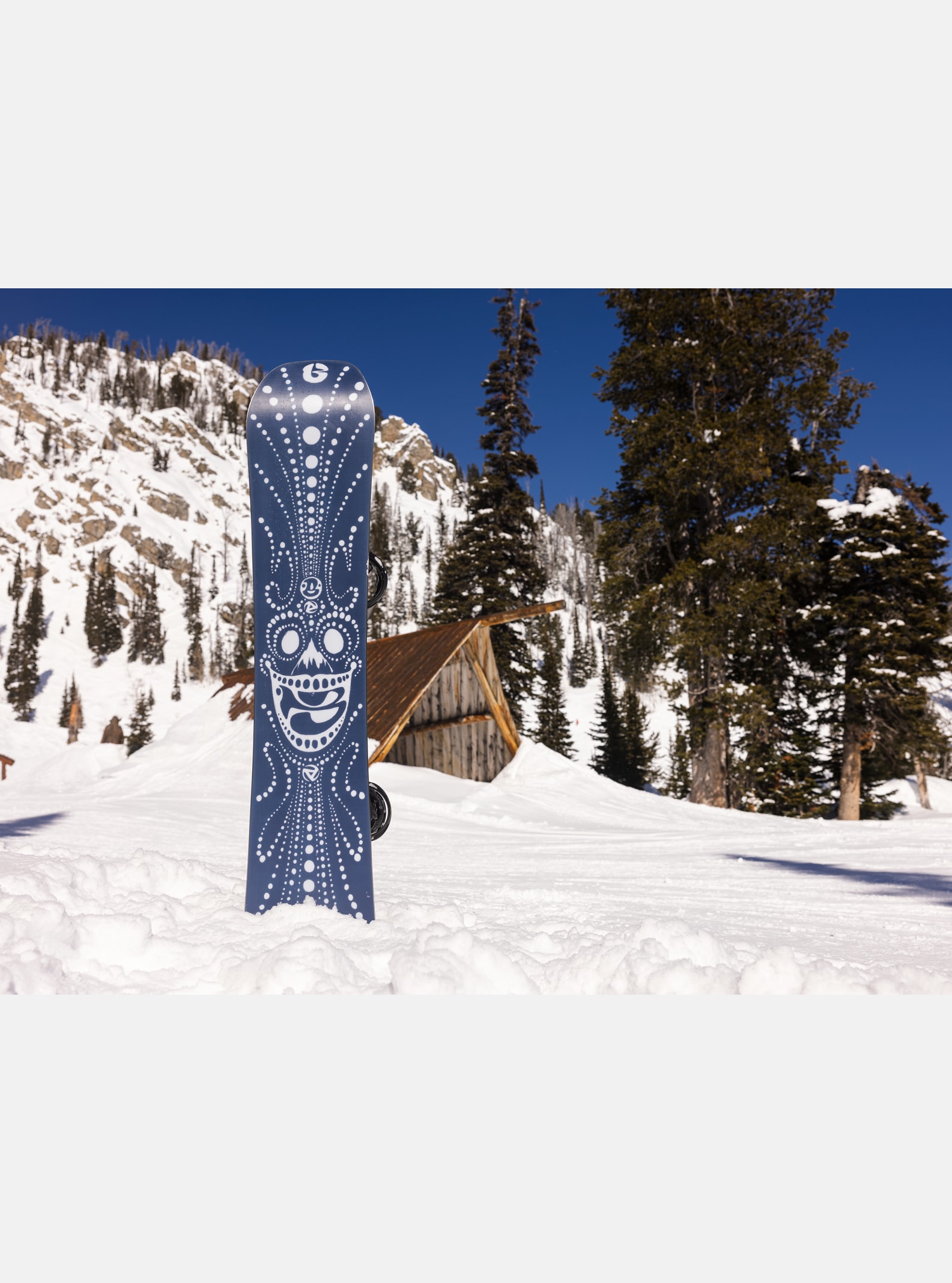 Men's Burton Free Thinker Camber Snowboard