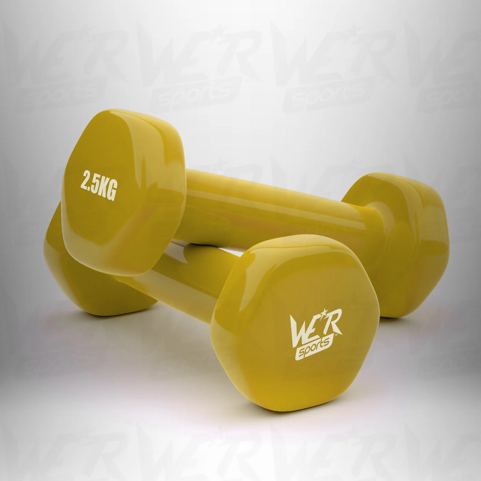 AeroFlex Ladies Dumbbell Set