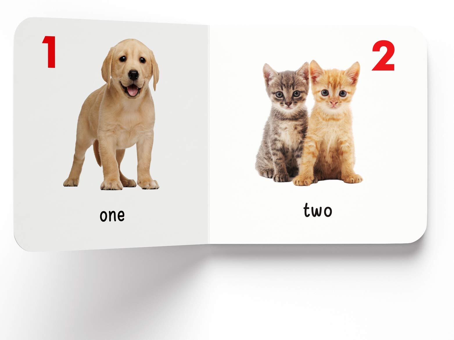 My First Library : Boxset of 10 Board Books for Kids (My First Book of) Board book