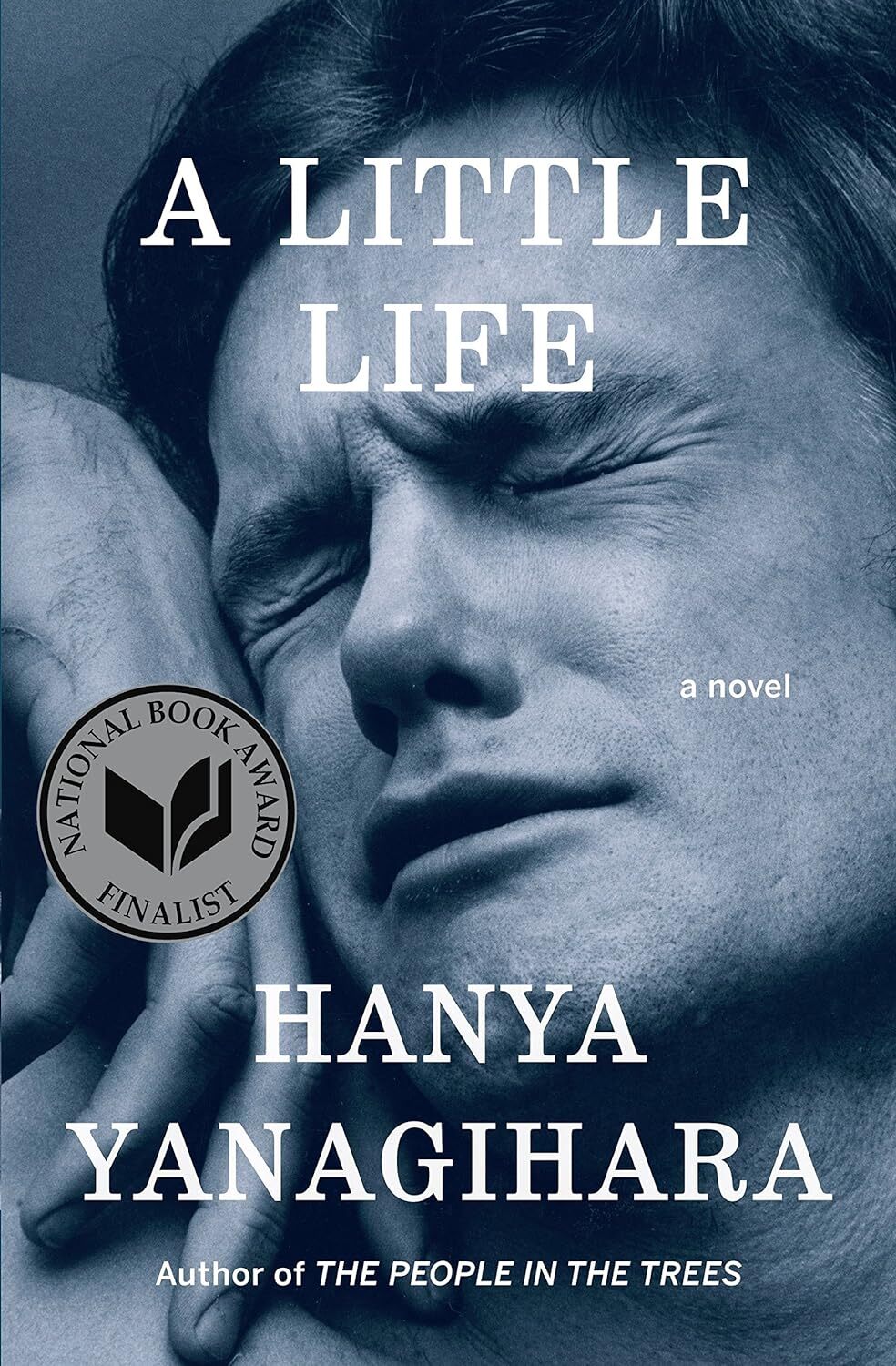 A Little Life: A Novel Hardcover – Big Book