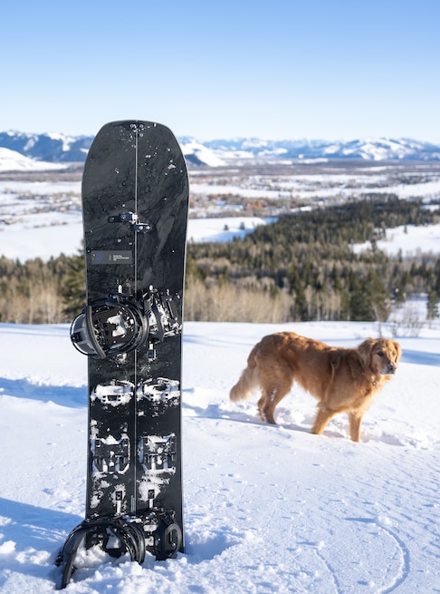 Burton Family Tree Hometown Hero Camber Splitboard