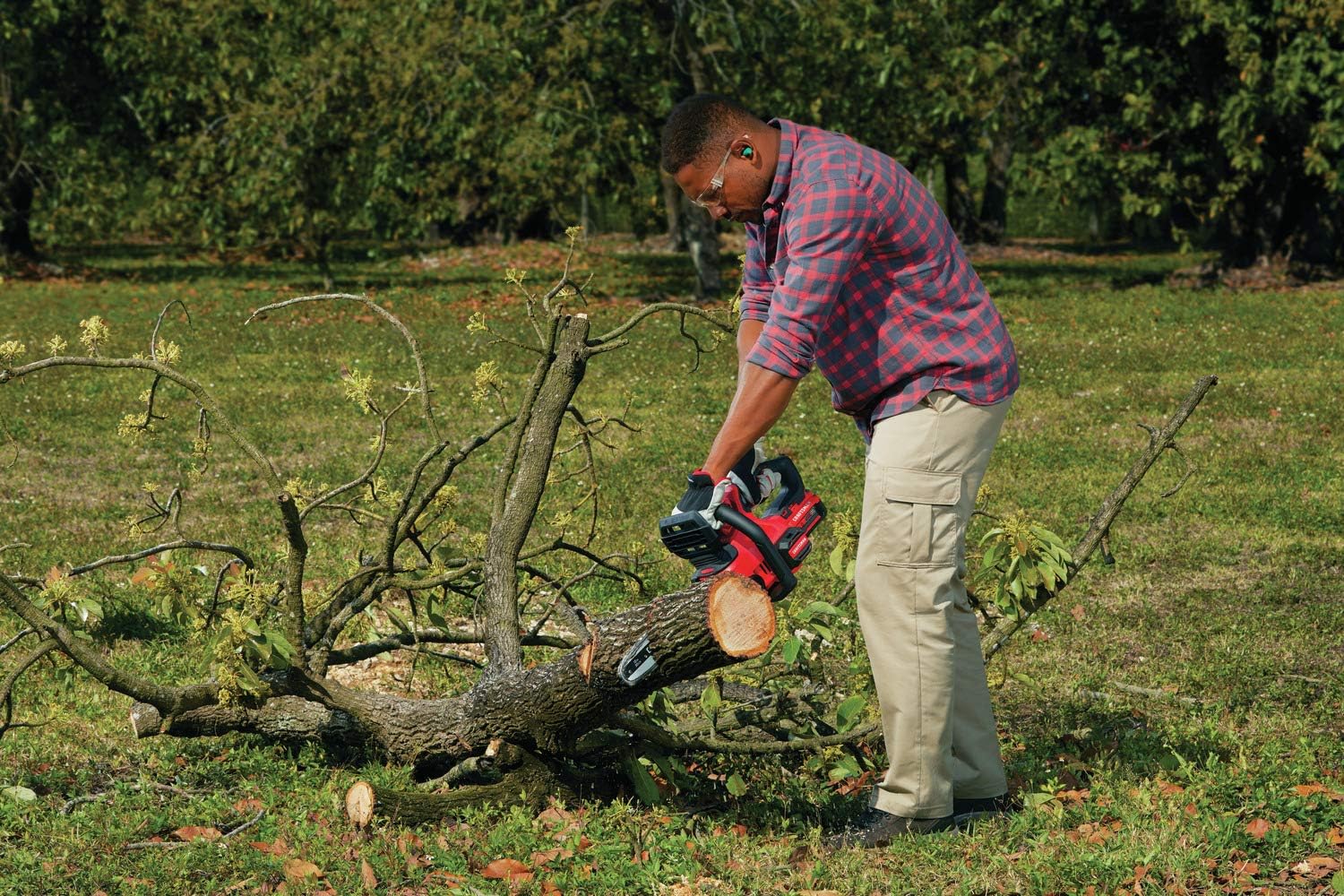 CRAFTSMAN V20* Cordless Chainsaw, 12-Inch (CMCCS620M1)