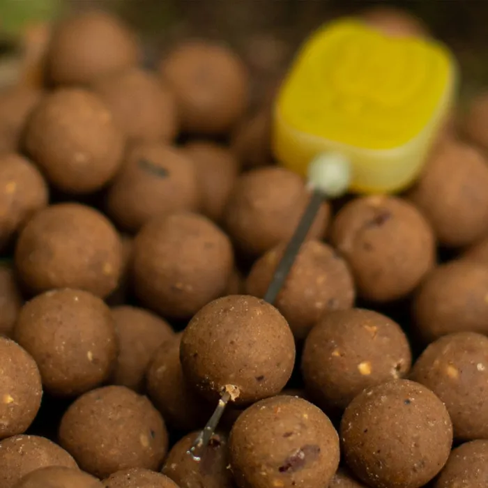 Nash Scopex Squid Stabilised Boilies