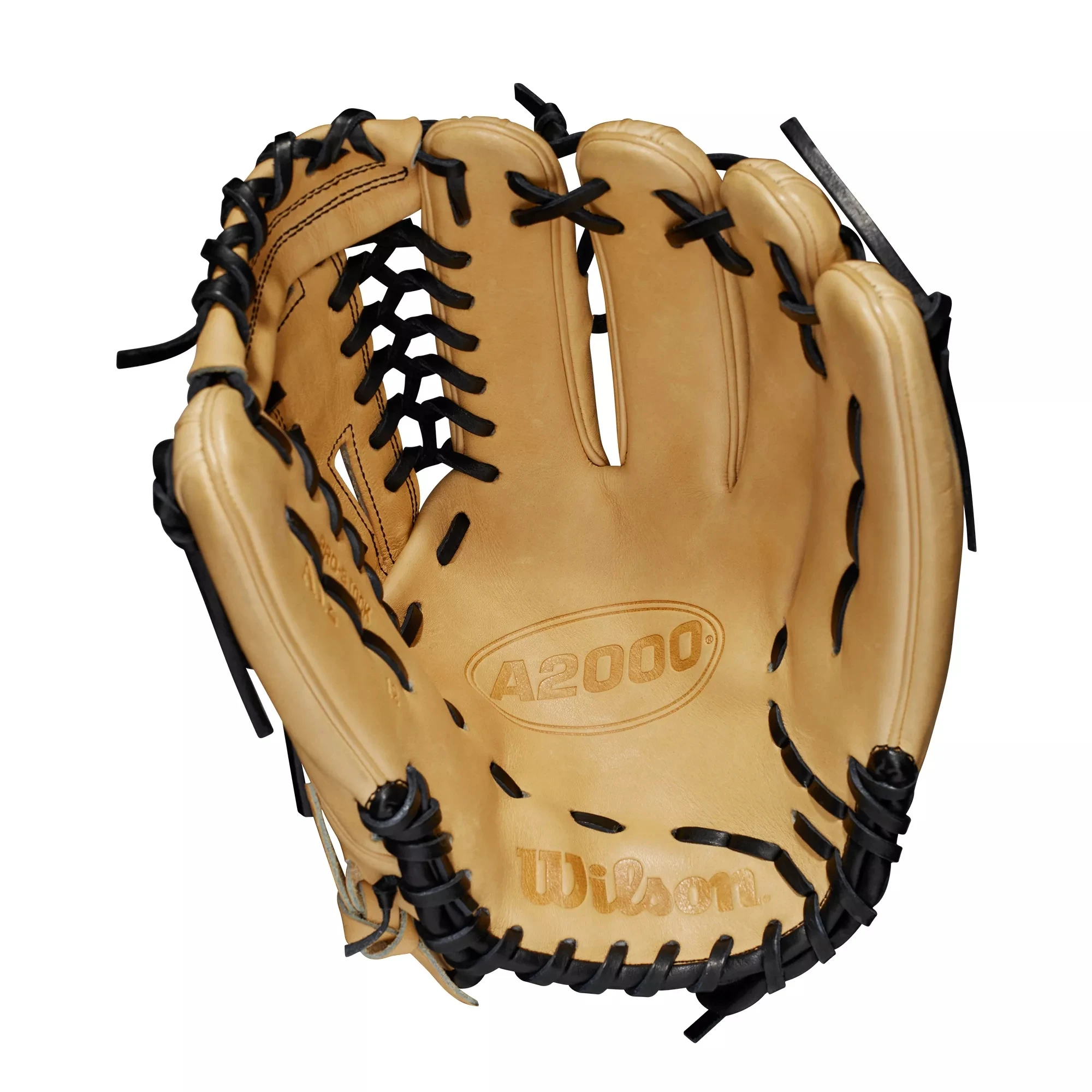 🔥Wilson 12'' A2000 Series A12 Glove 2023