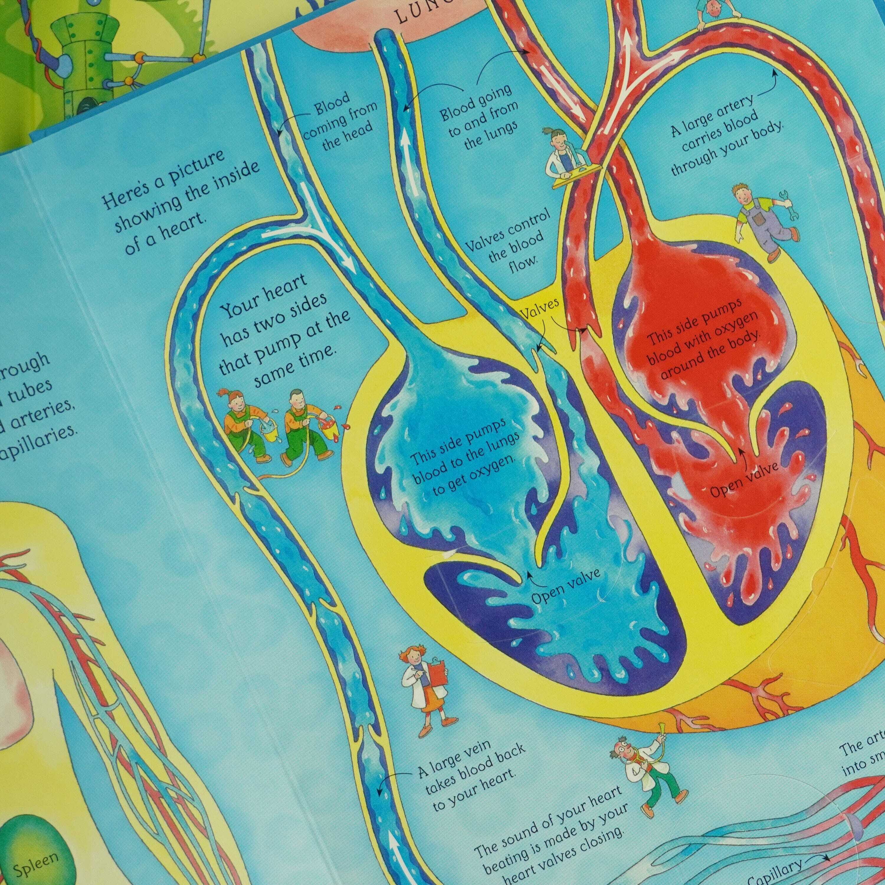 An Usborne Flap Book See Inside Series 2 Books Set - Ages 6+ - Board Book