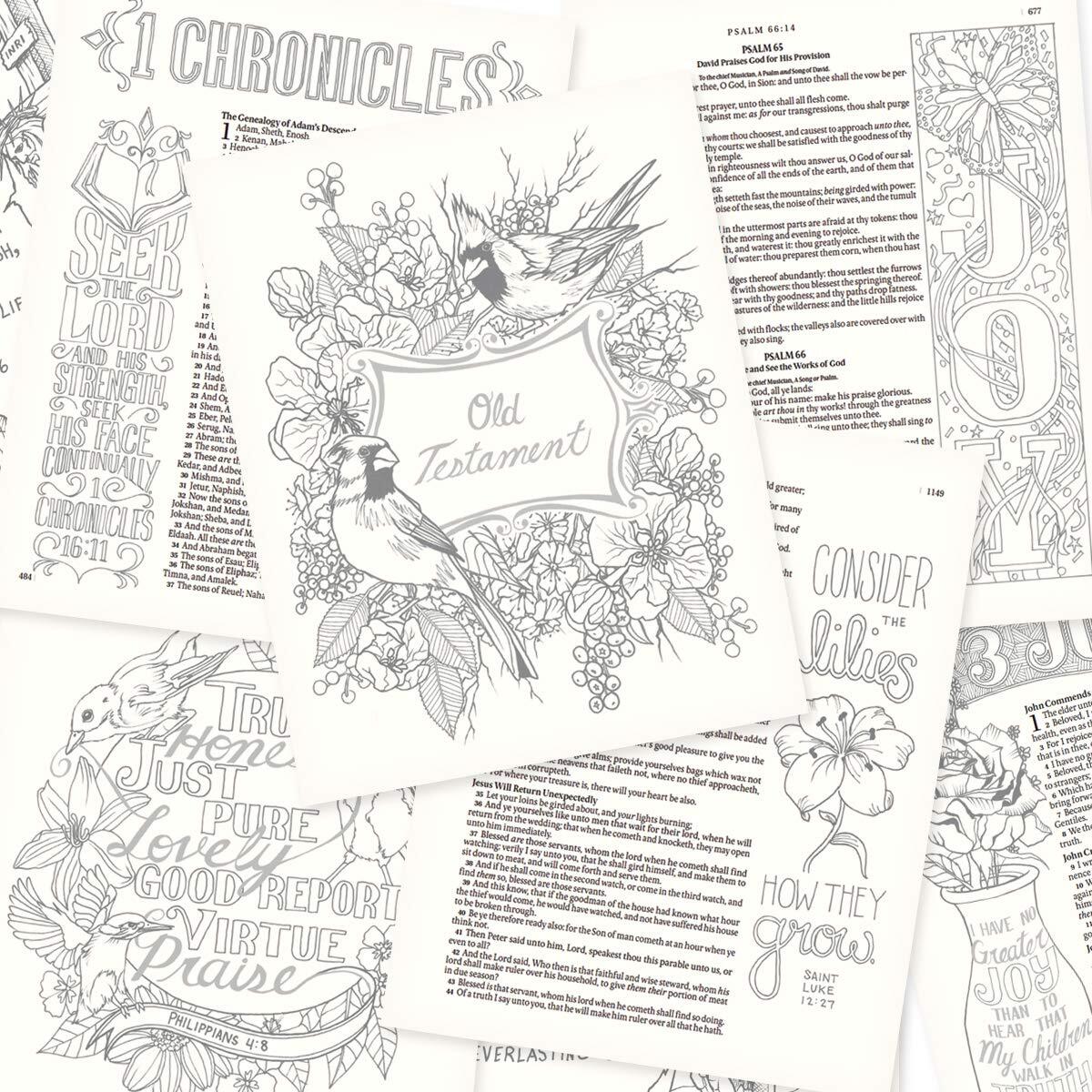 KJV Holy Bible, My Creative Bible, Faux Leather Flexcover - Ribbon Marker, King James Version, Pink Floral Flexibound – April 11, 2016