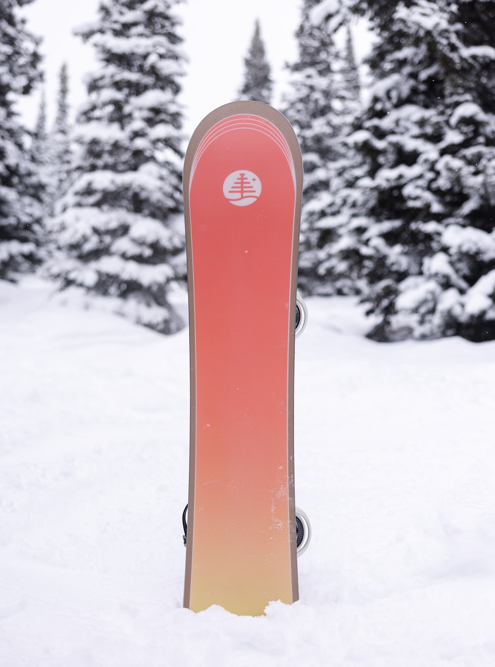 Burton Family Tree Gril Master Camber Snowboard