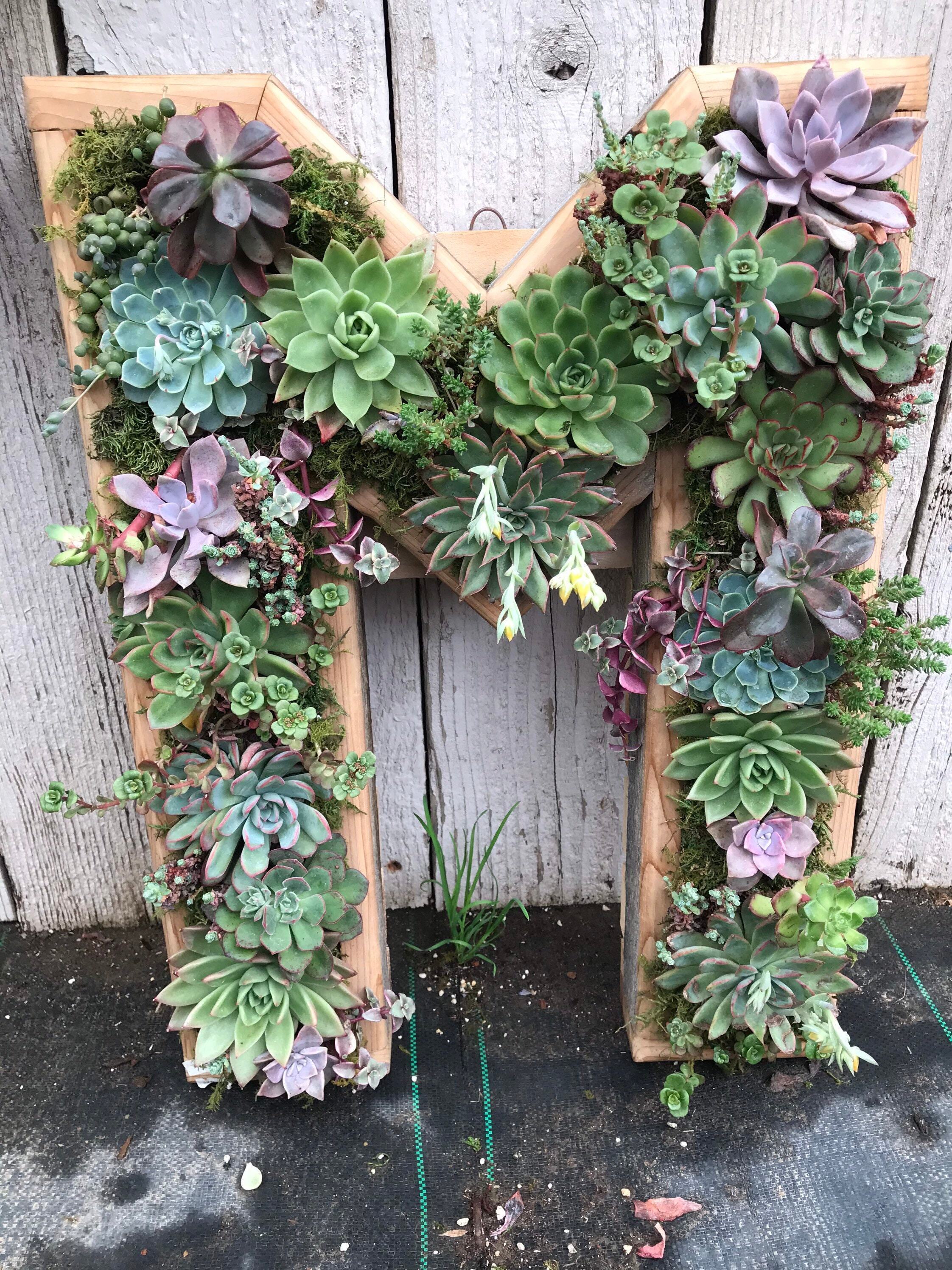 A-Z Monogram Wooden 20