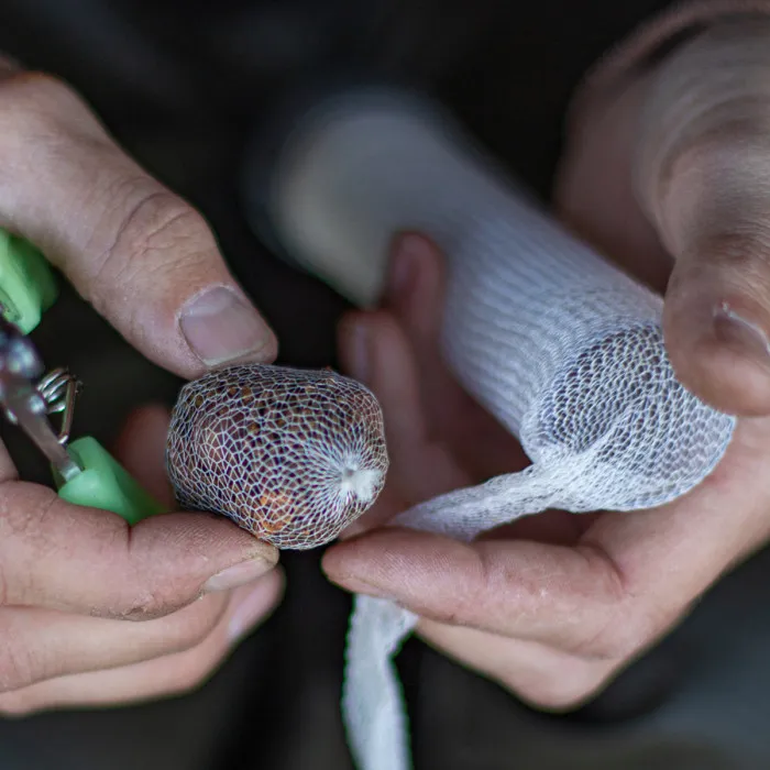 Fox Edges Fast Melt PVA Mesh System