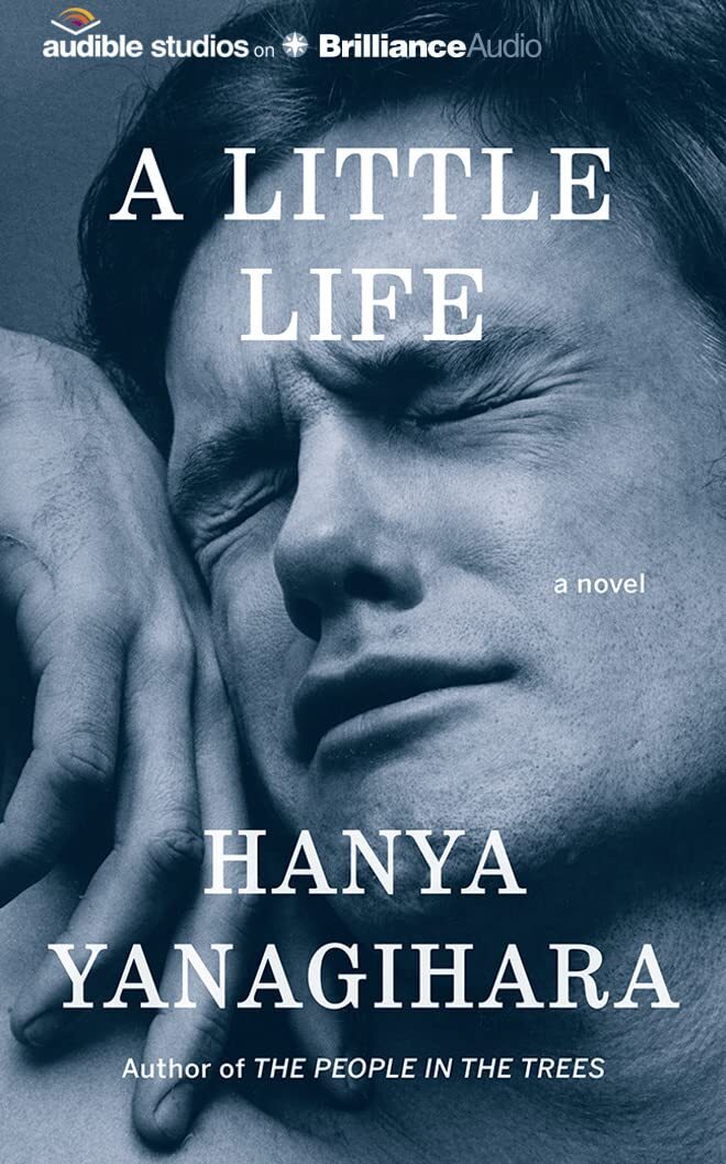 A Little Life: A Novel Hardcover – Big Book