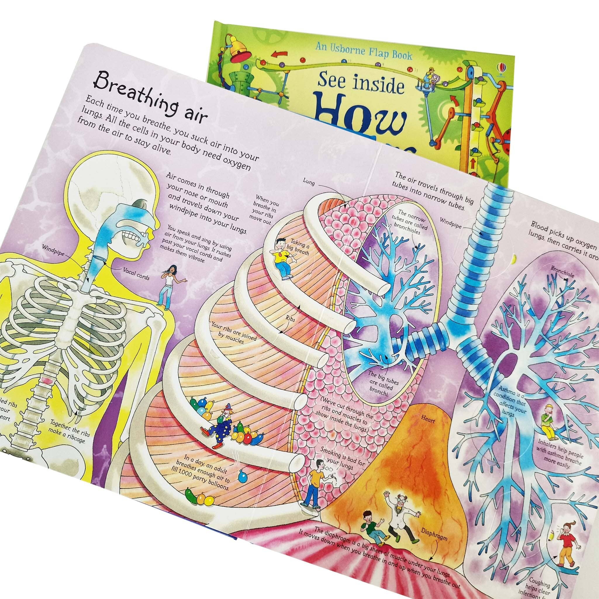 An Usborne Flap Book See Inside Series 2 Books Set - Ages 6+ - Board Book