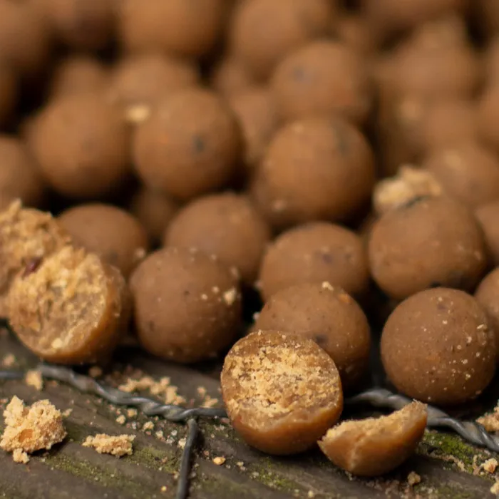 Nash Scopex Squid Stabilised Boilies