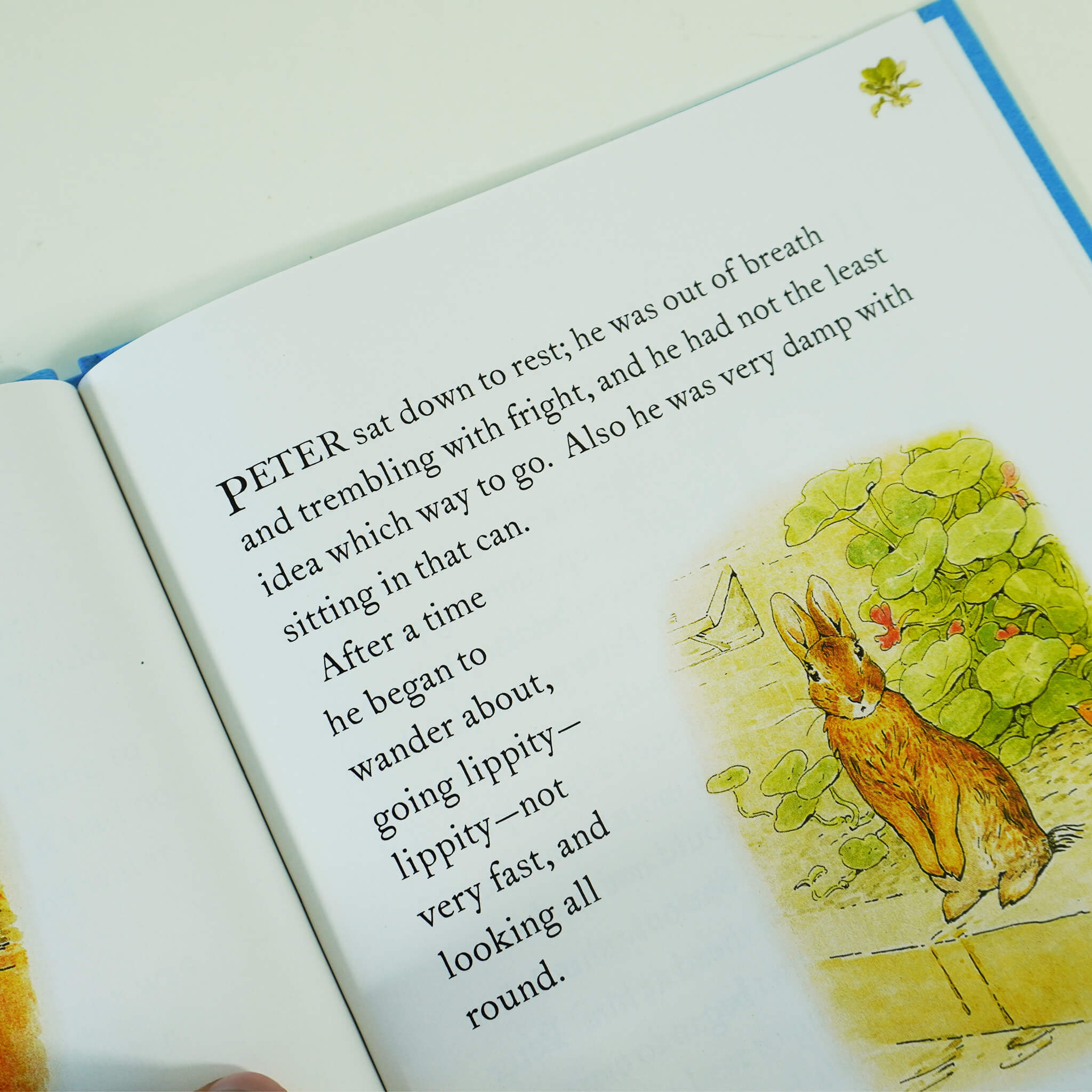 Peter Rabbit Library Coloured Jackets 10 Books Box Set Collection by Beatrix Potter - Ages 5-7 - Hardback