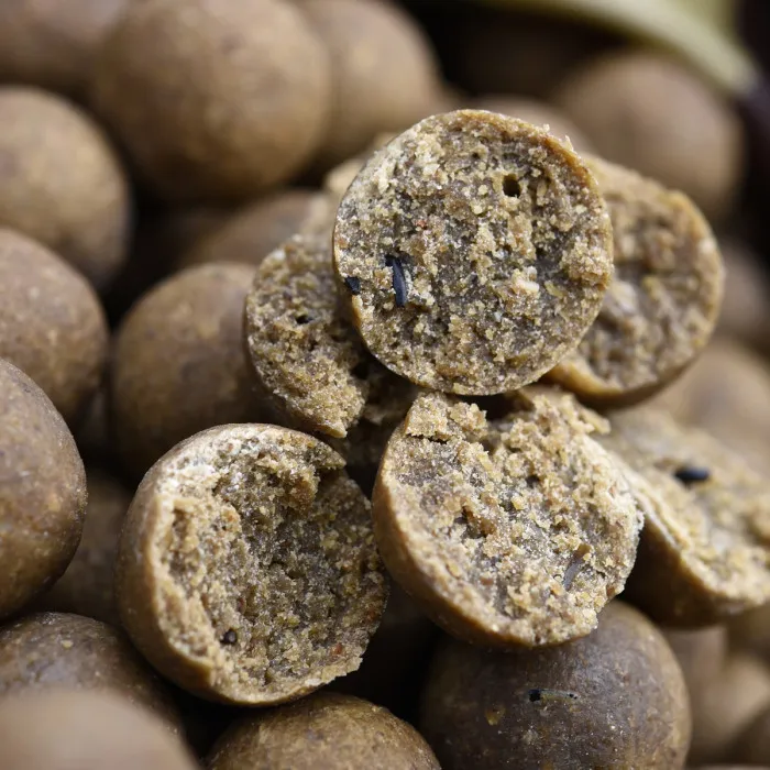 CC Moore Odyssey Shelf Life Boilies