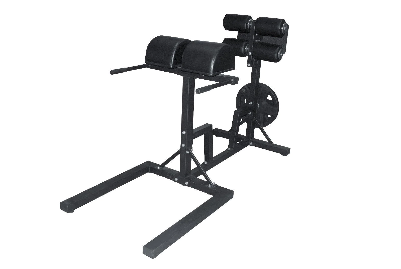 Glute Ham Developer Raise Machine GHD Back Extension Core Gym Strength Training