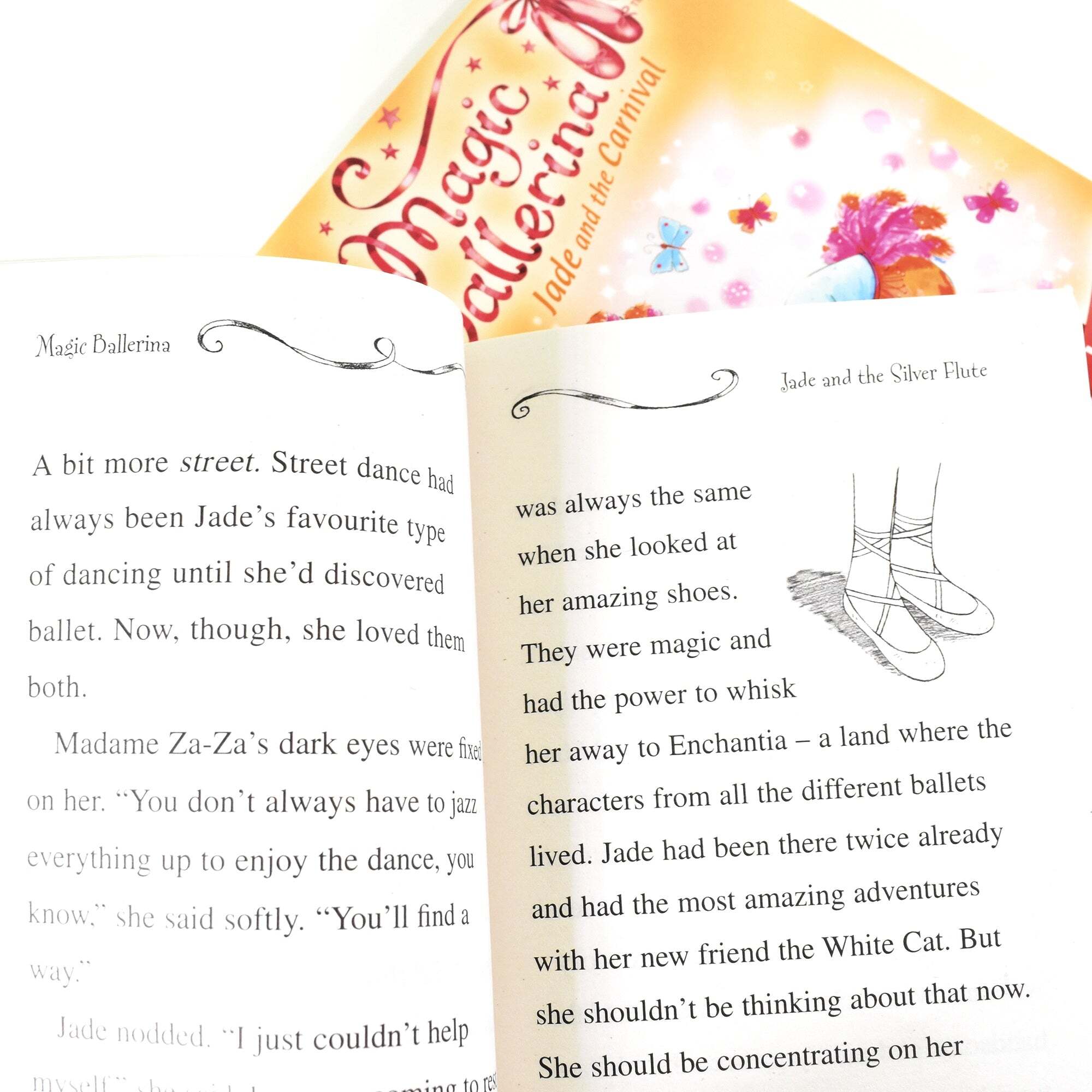 Magic Ballerina 22 Book Collection Set by Darcey Bussel - Ages 7-9 - Paperback
