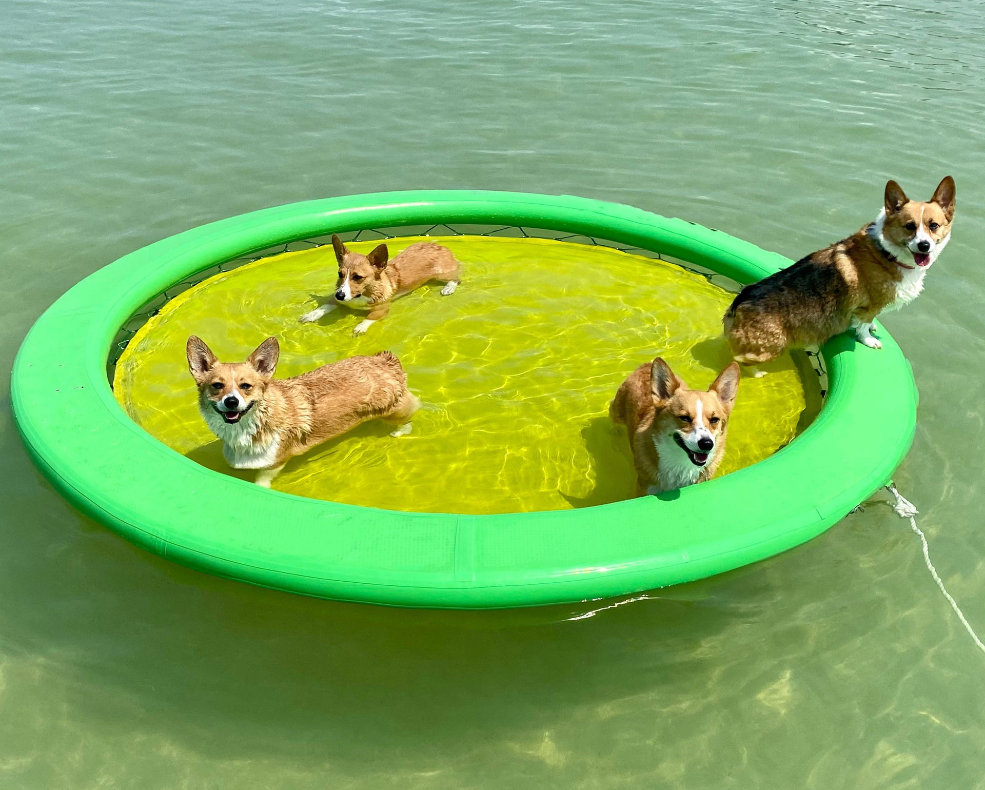 ☀Summer Sale🔥 Buy 2 Get 2 Free - Portable Inflatable Outdoor Water Floating Mat 4