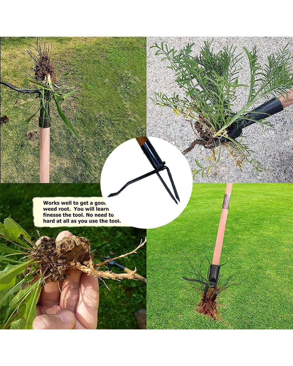 Garden Lawn Rooter Weed Eater