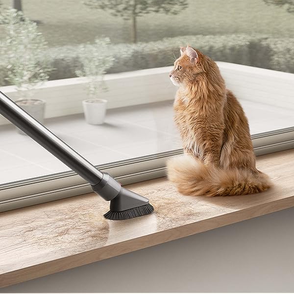 🔥Hot Sale Now🔥 Cyclone V10 Animal Cordless Vacuum Cleaner