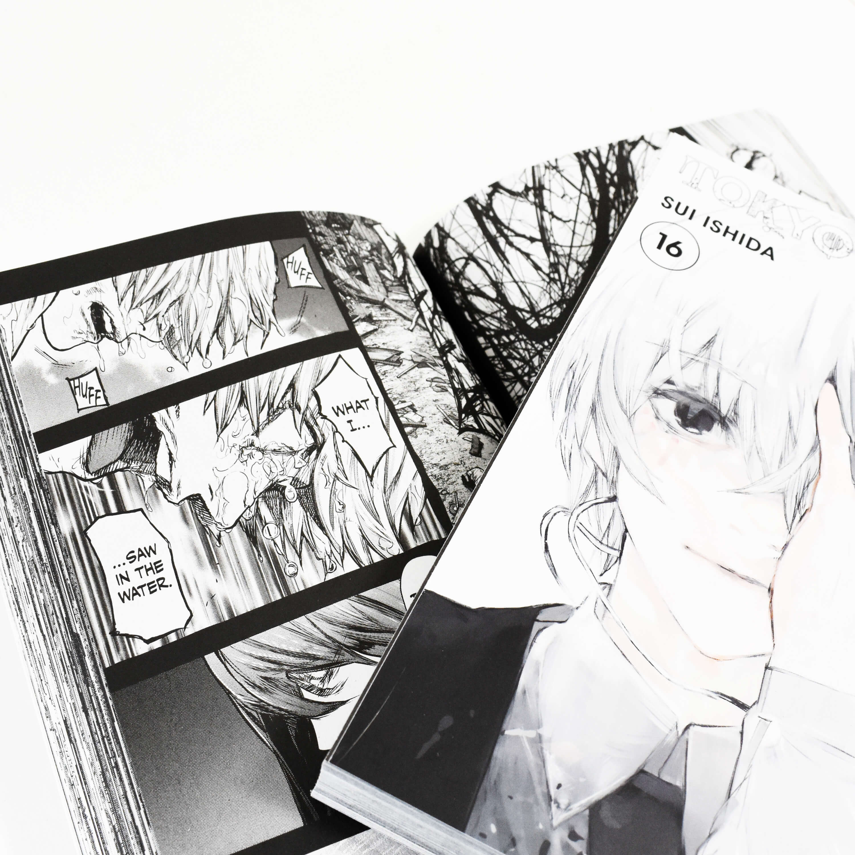 Tokyo Ghoul:re by Sui Ishida: 16 Books Complete Box Set - Ages 14+ - Paperback