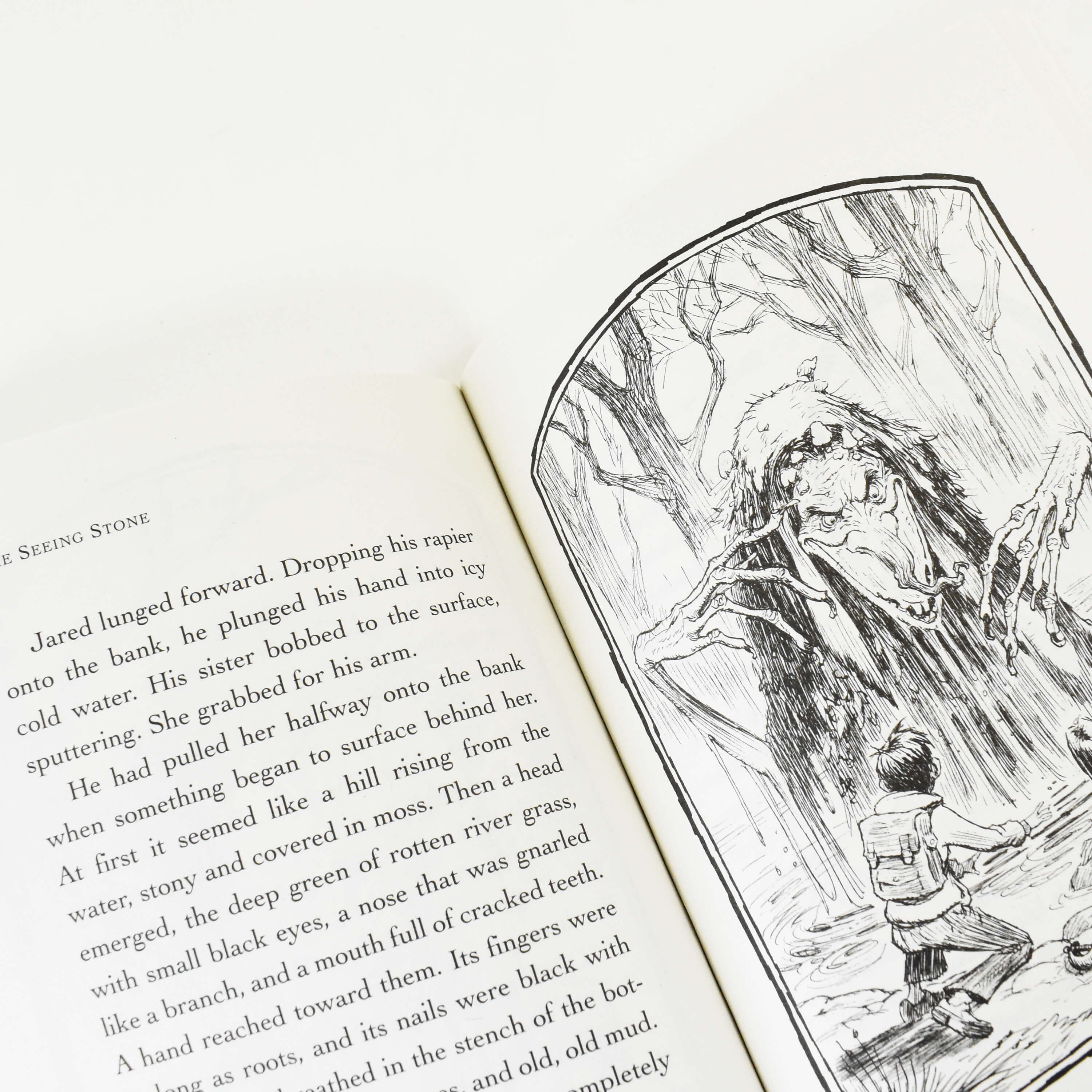 The Spiderwick Chronicles by Holly Black & Tony DiTerlizzi 5 Book Collection - Ages 7-9 - Paperback