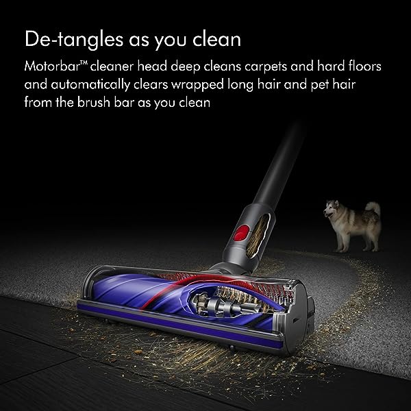 🔥Hot Sale Now🔥 Cyclone V10 Animal Cordless Vacuum Cleaner