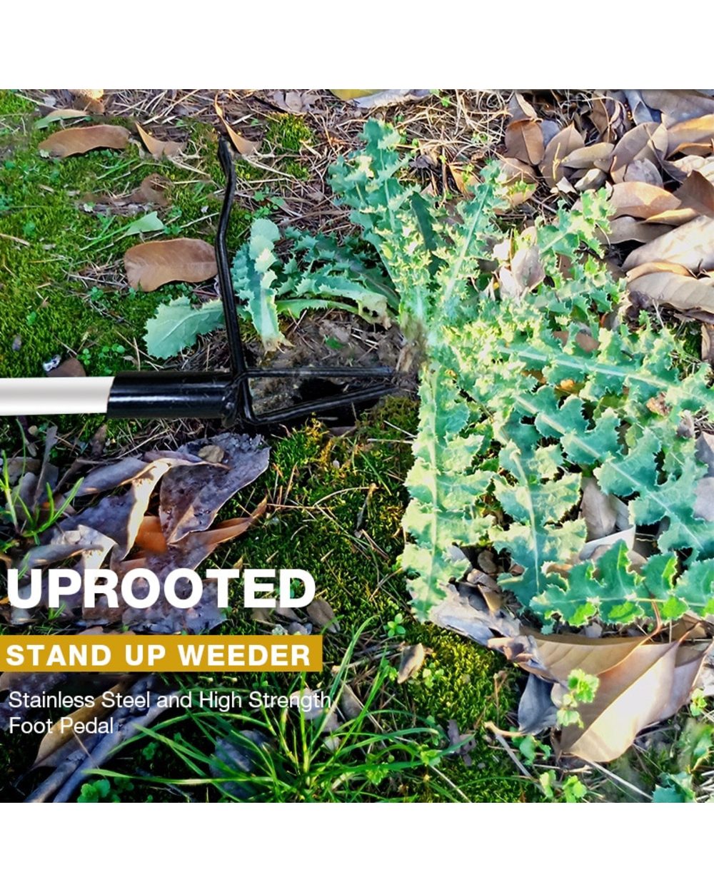 Garden Lawn Rooter Weed Eater