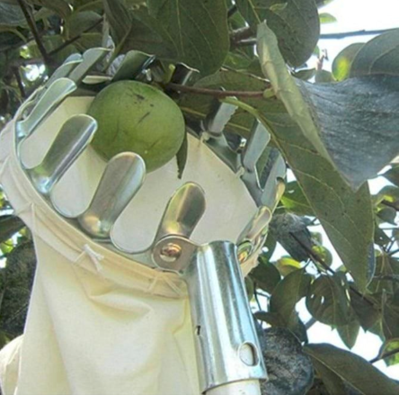 Fruit Picking Tool