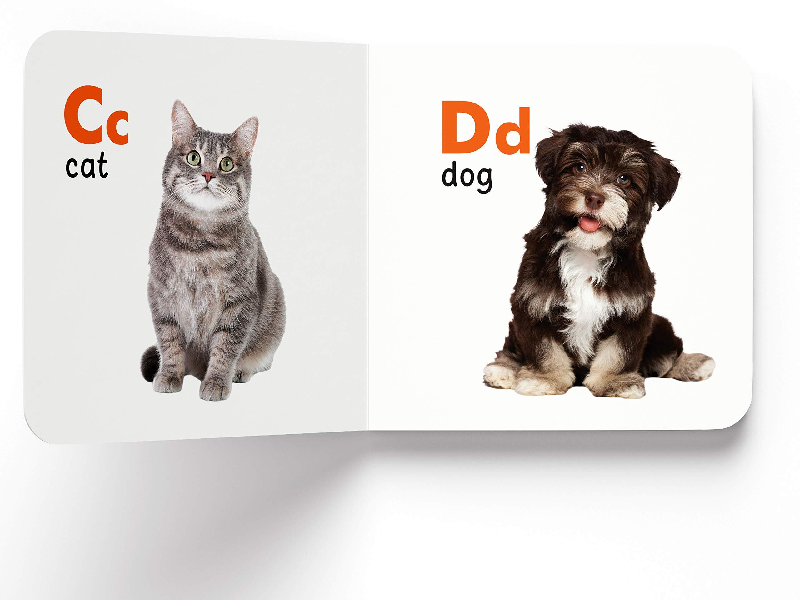 My First Library : Boxset of 10 Board Books for Kids (My First Book of) Board book