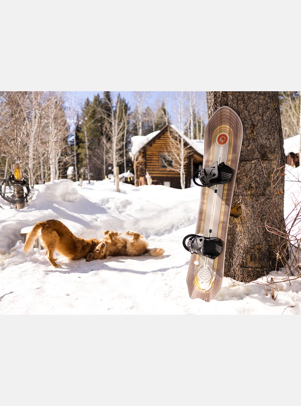 Burton Fish 3D Directional Flat Top Snowboard