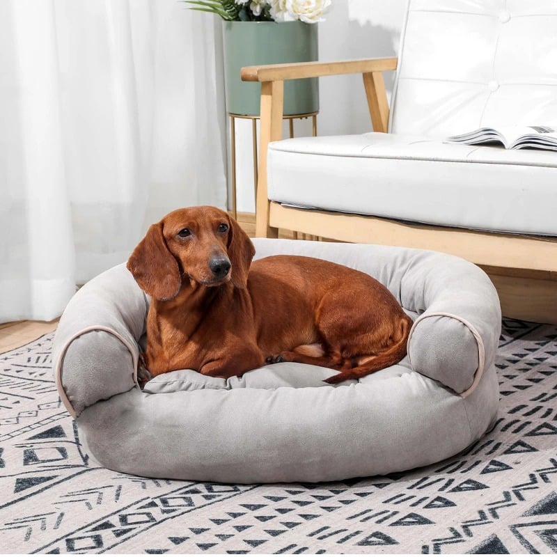 [LAST DAY - 75% OFF]💥 Sofa Dog Bed 2023