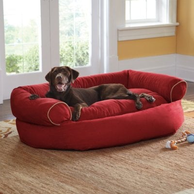 [LAST DAY - 75% OFF]💥 Sofa Dog Bed 2023