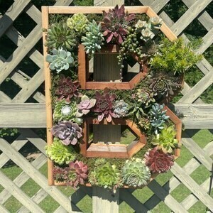 A-Z Monogram Wooden 20