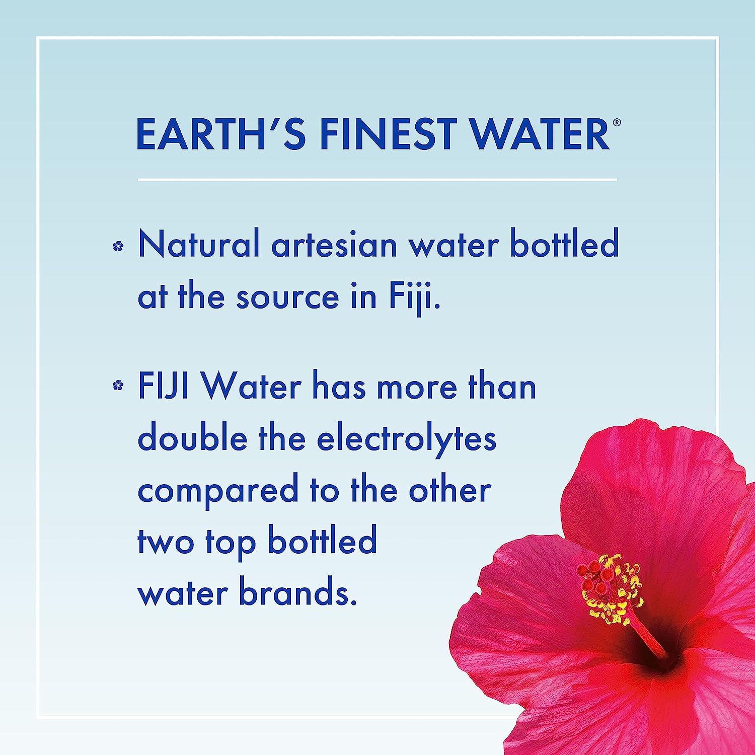 FIJI Natural Artesian Water, 16.9 Fl Oz (Pack of 24)