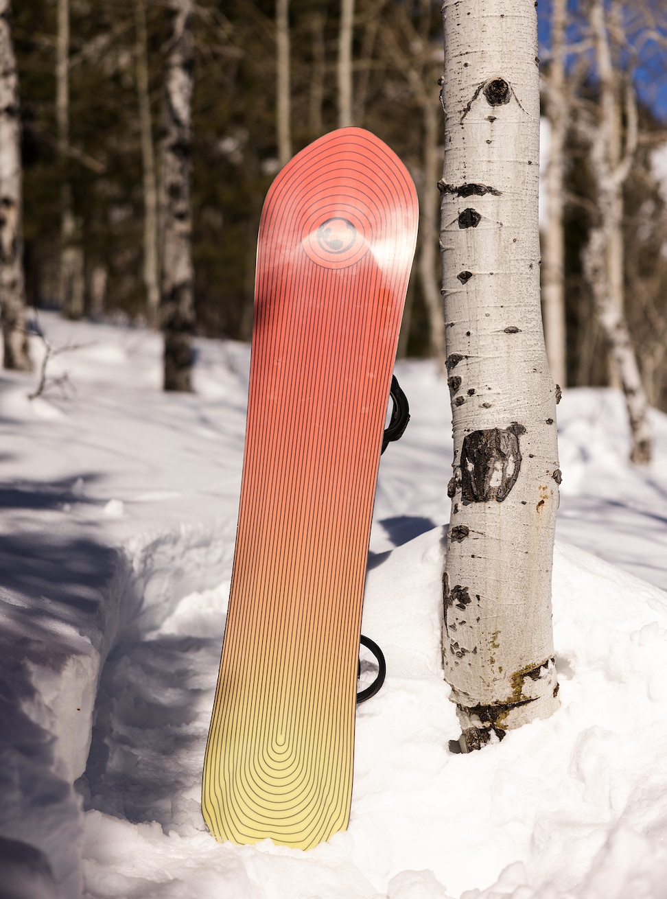 Burton Fish 3D Directional Flat Top Snowboard