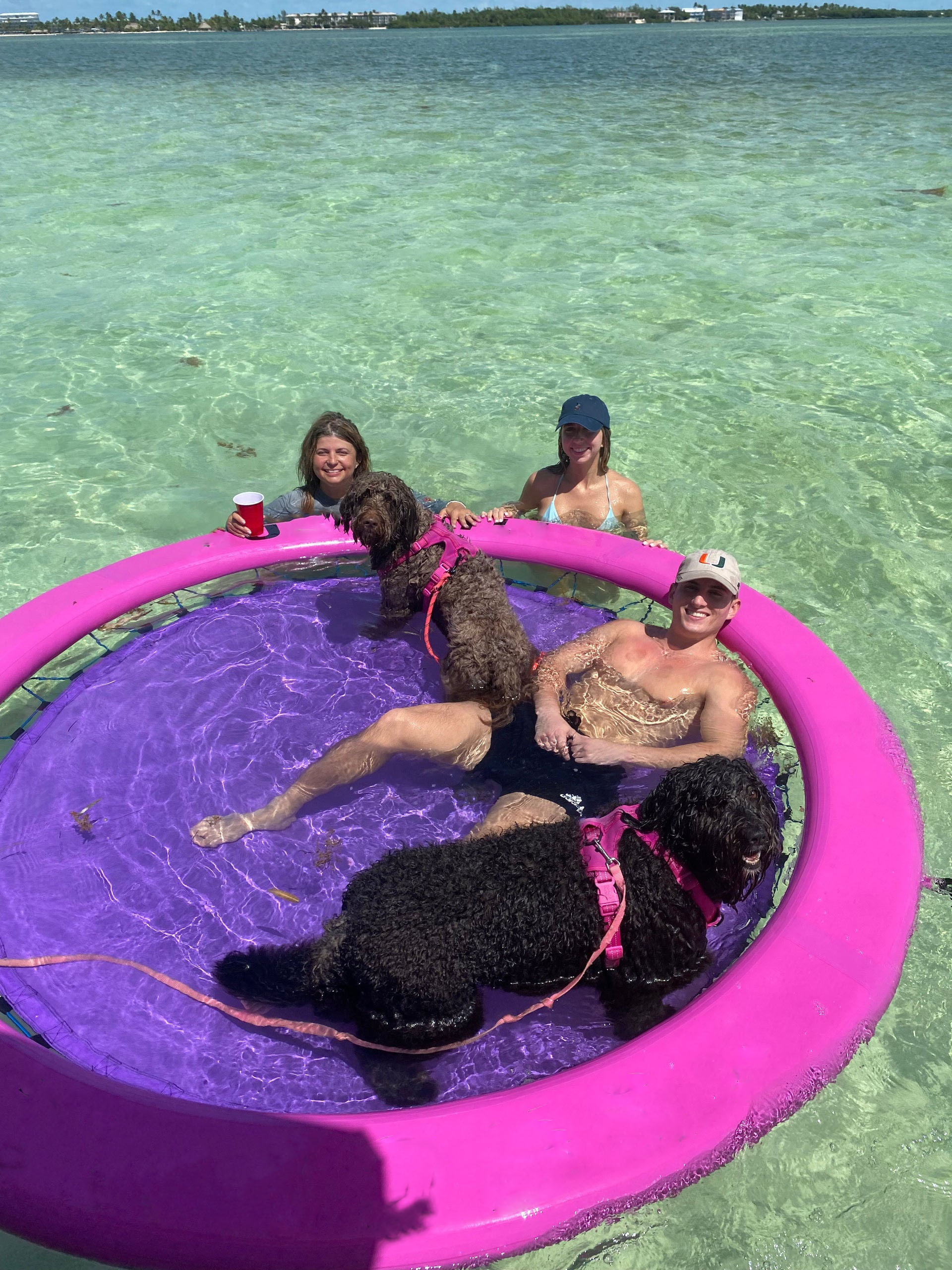 ☀Summer Sale🔥 Buy 2 Get 2 Free - Portable Inflatable Outdoor Water Floating Mat 4