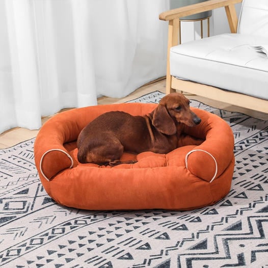 [LAST DAY - 75% OFF]💥 Sofa Dog Bed 2023