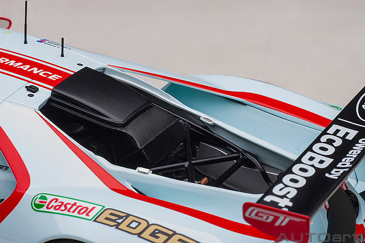 FORD GT LE MANS 2019 R.BRISCOE/R.WESTBROOK/S.DIXON #69