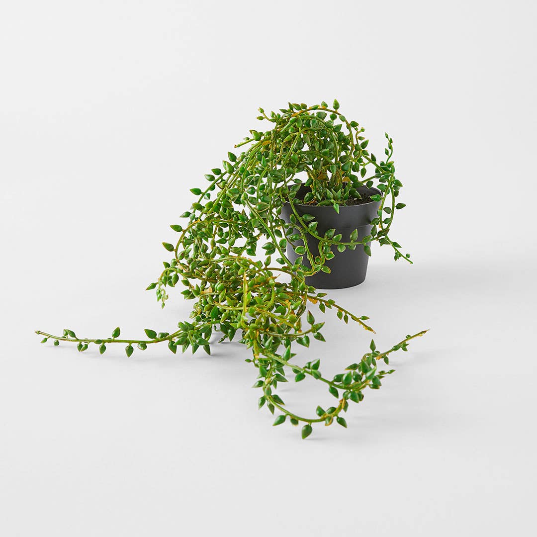 String Of Beads Pot