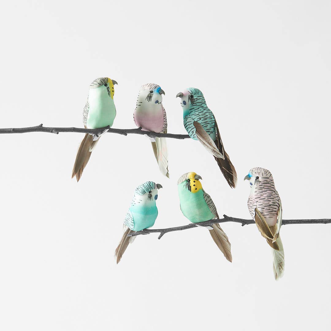 Feather Budgie On Clip Set Of 6