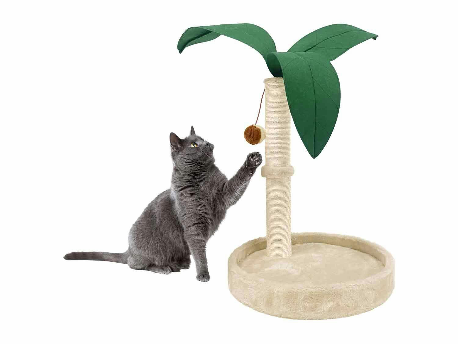Rascador de palmera