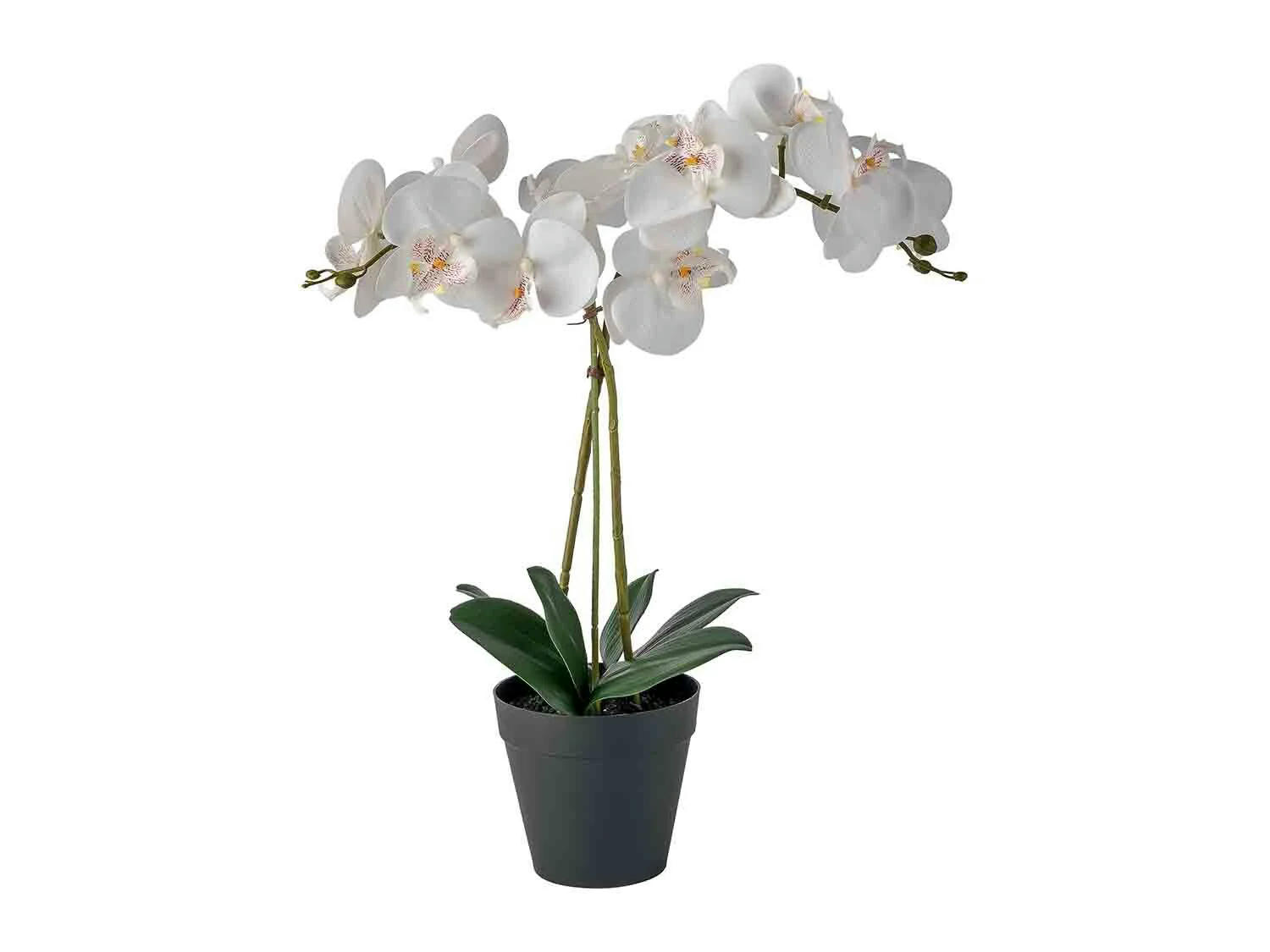 Planta artificial