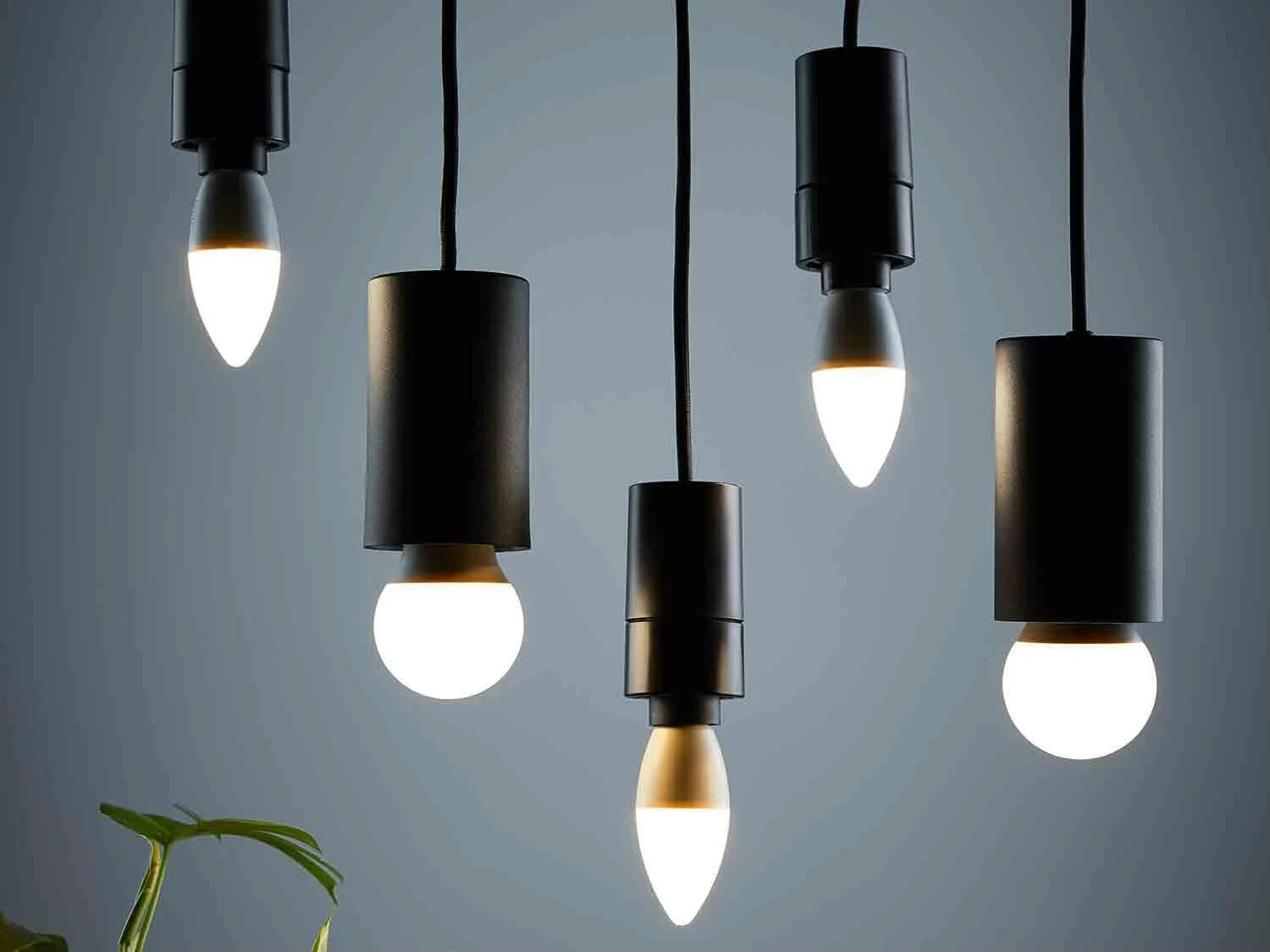 Bombillas LED E27 pack 6