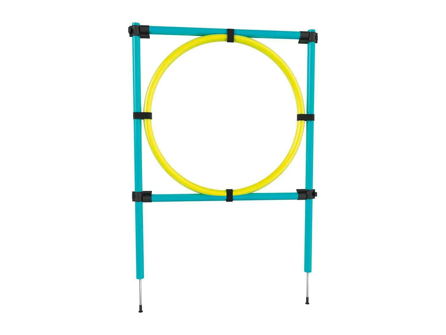 Aro de Agility
