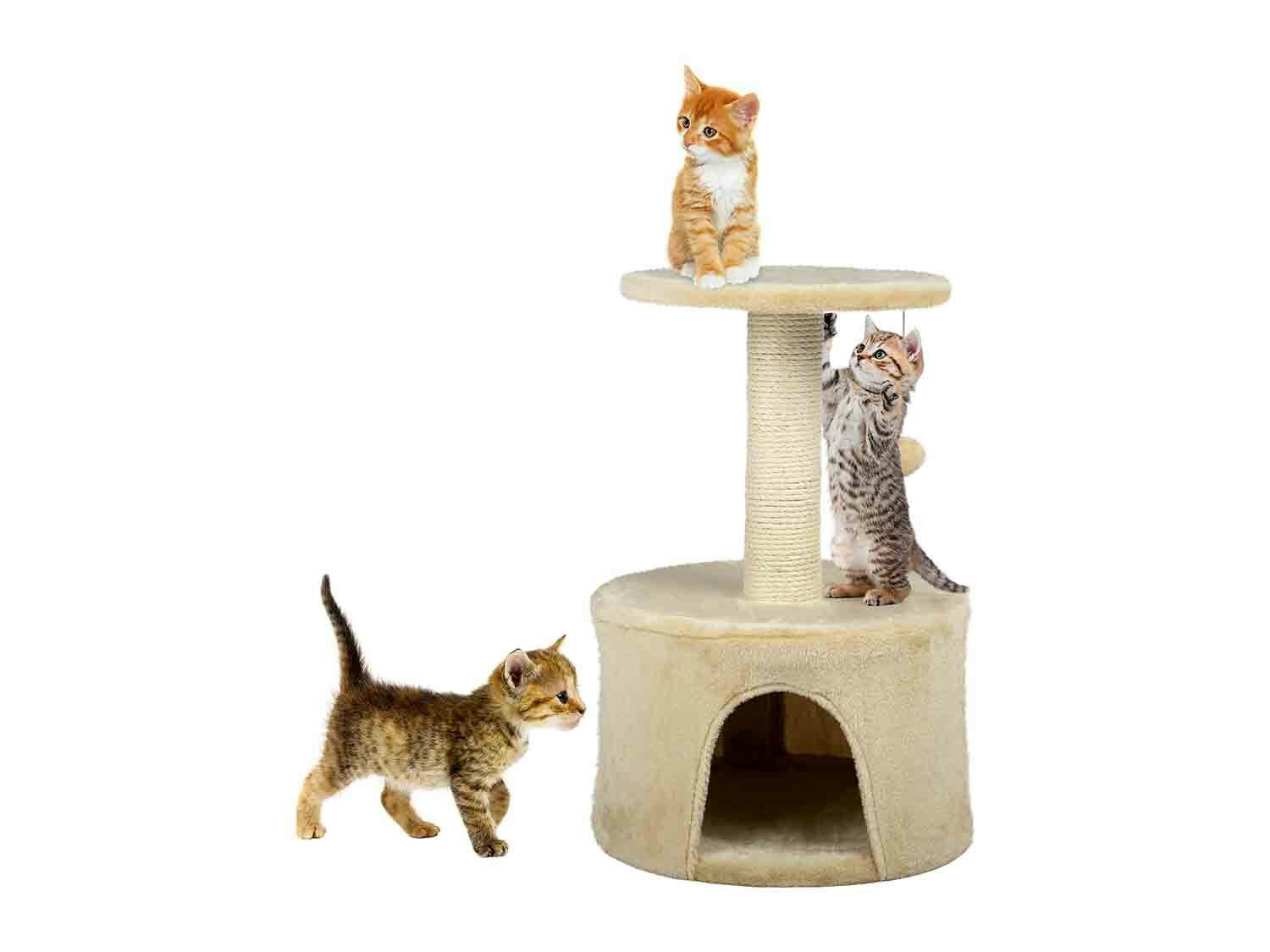 Rascador para gatos