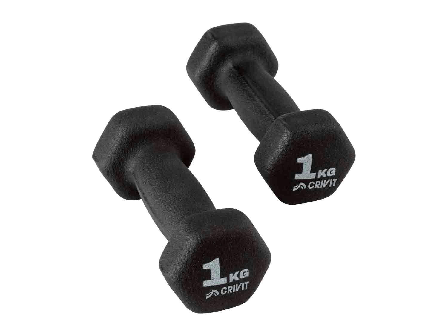 Set de 2 mancuernas