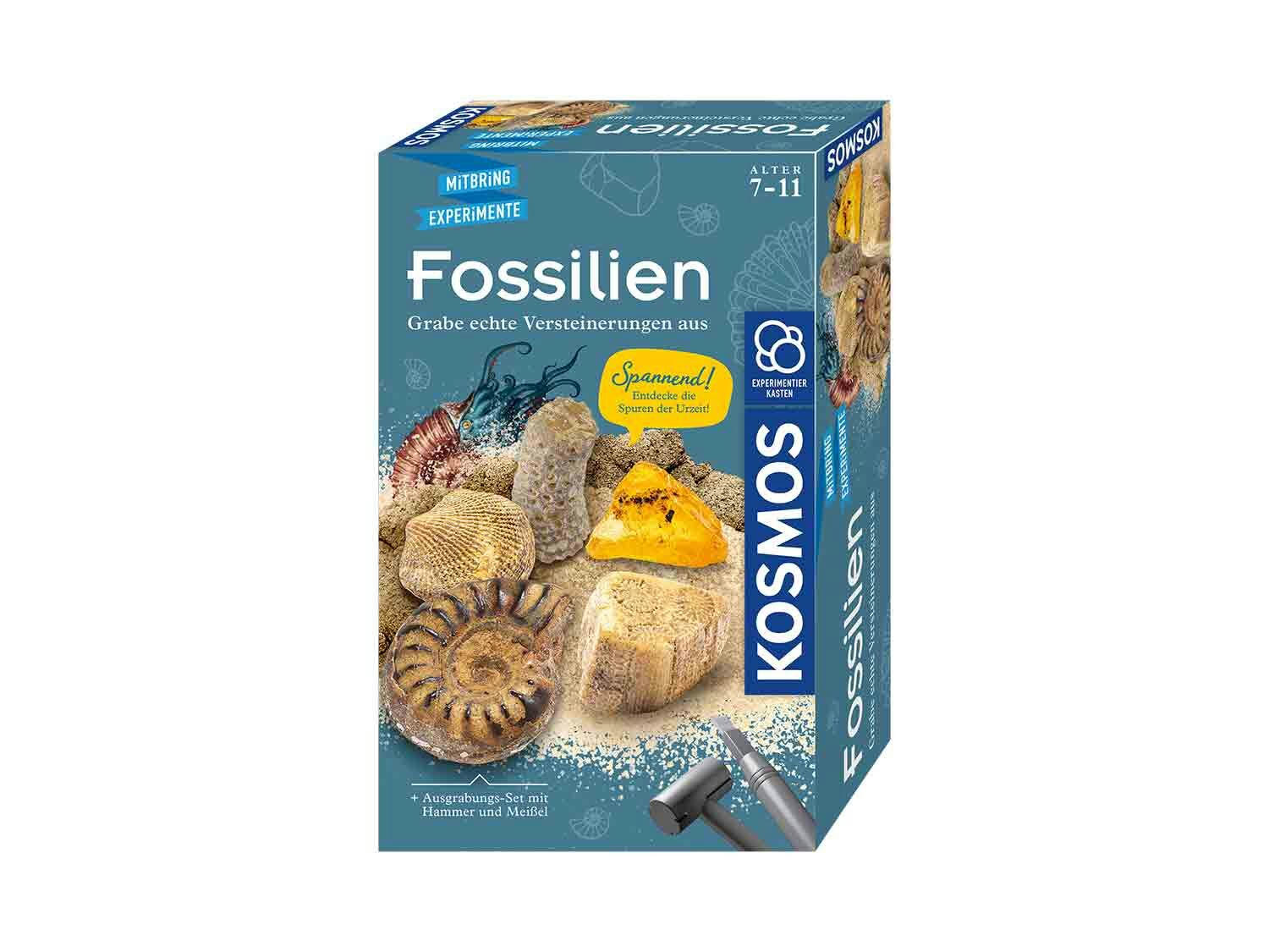 Kosmos Conjunto de excavación de fósiles
