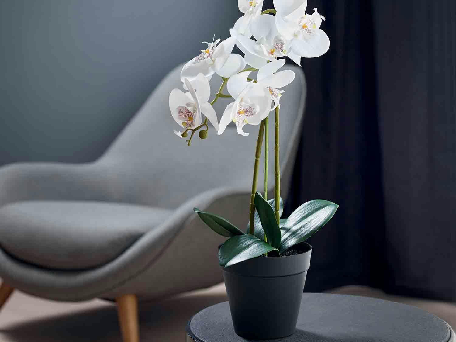 Planta artificial